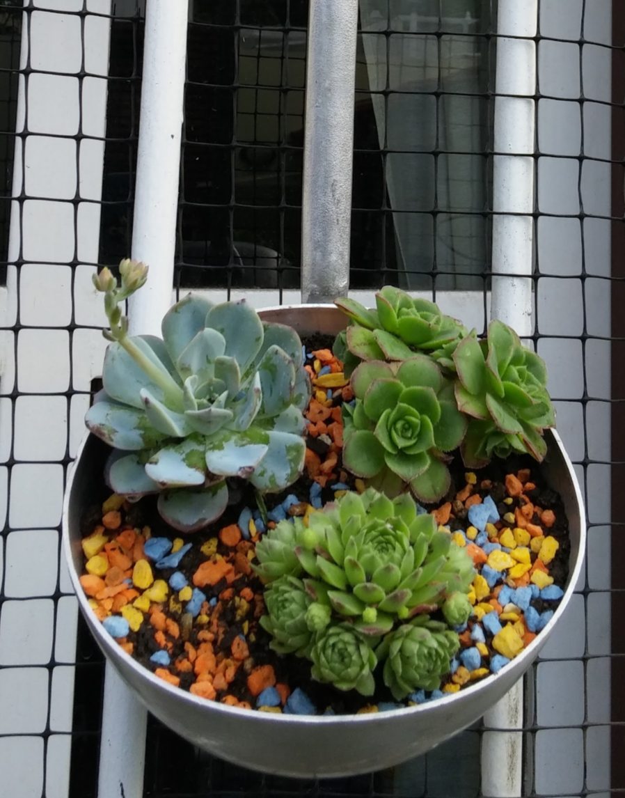 Trabajo de reciclado y bricolage 58