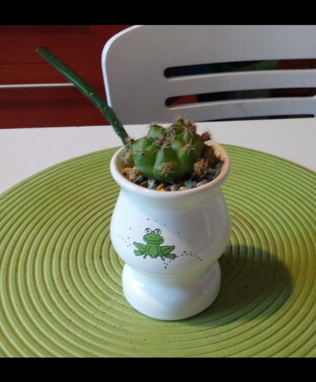 Trabajo de reciclado y bricolage 59